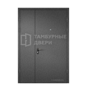 Дверь в коридор порошок ТД-245