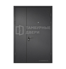 Дверь в коридор порошок ТД-205